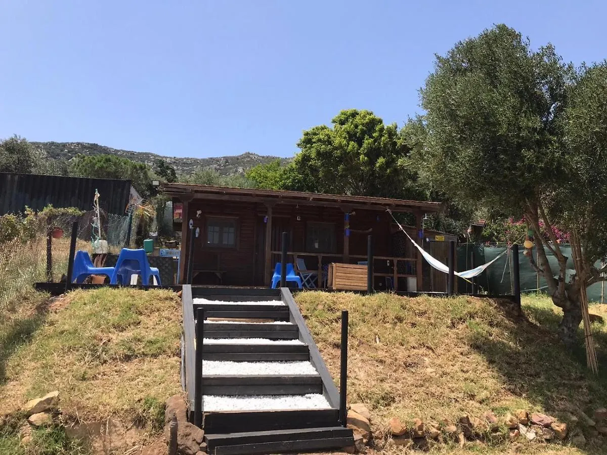 Rustic Cabin Tarifa 4 Guests 10 Minutes To Beach Holiday home