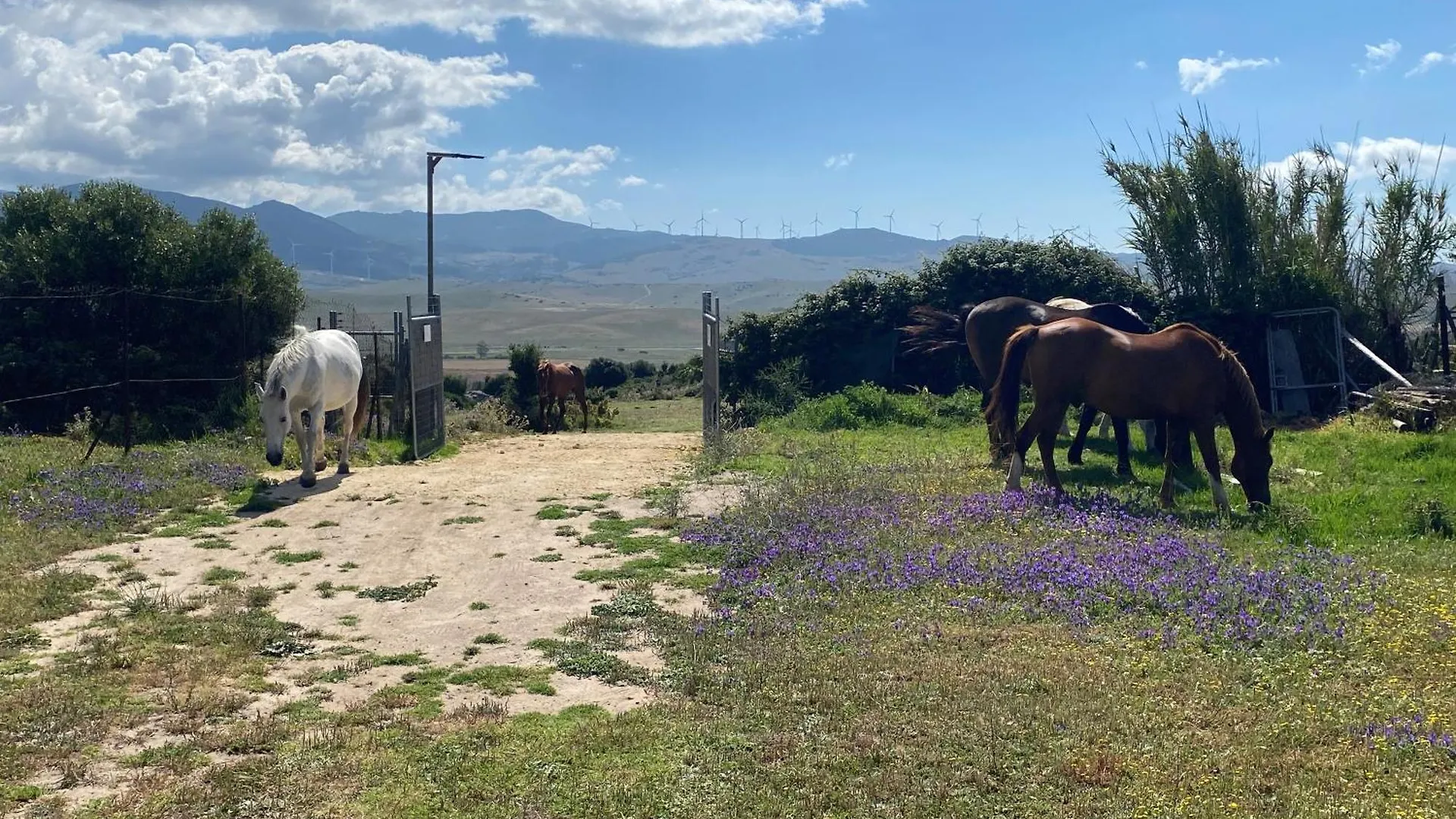 Rustic Cabin Tarifa 4 Guests 10 Minutes To Beach 0*,