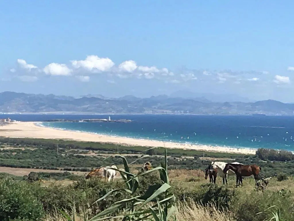 Rustic Cabin Tarifa 4 Guests 10 Minutes To Beach 0*,