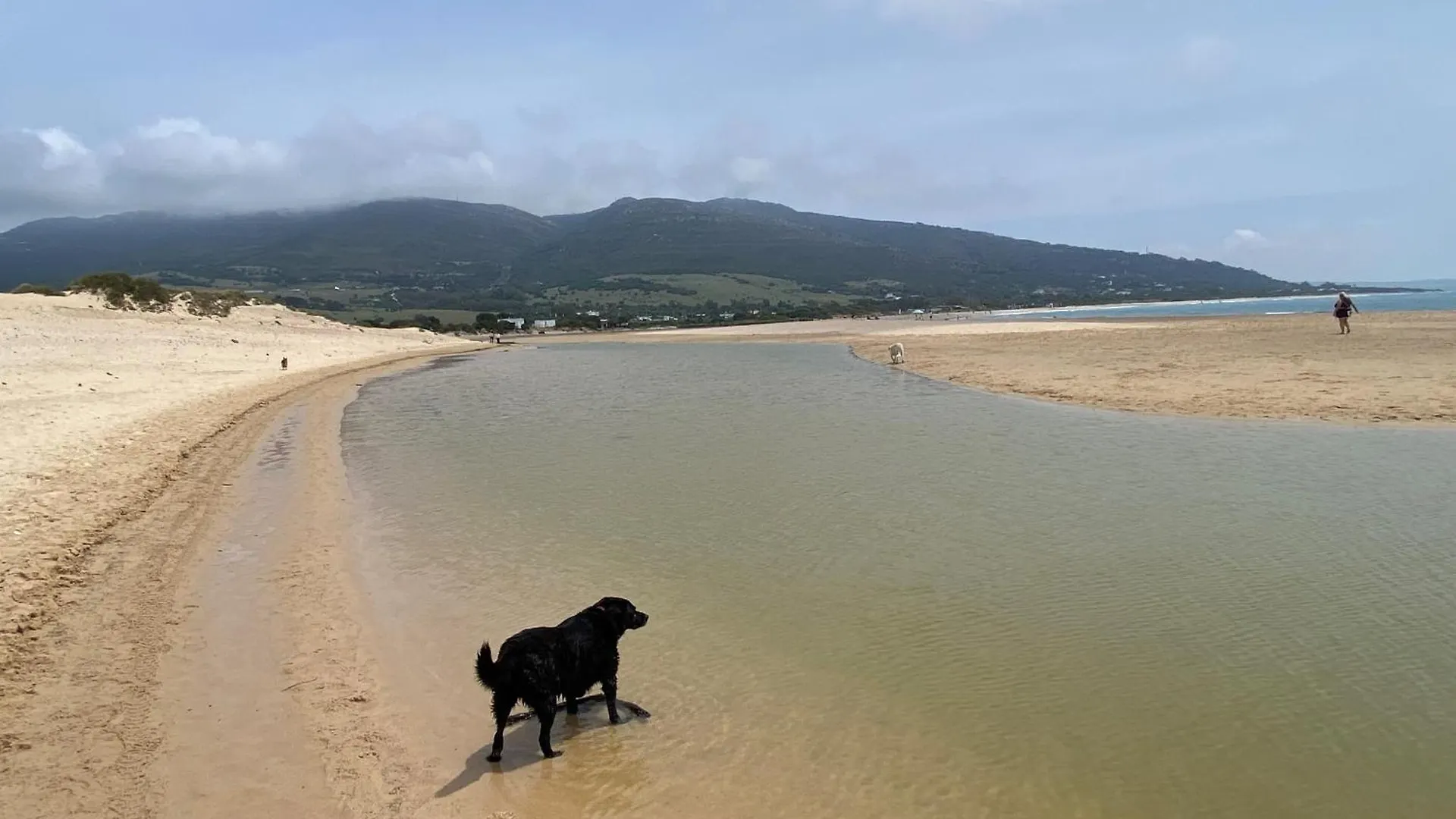 Rustic Cabin Tarifa 4 Guests 10 Minutes To Beach 0*,  Spain